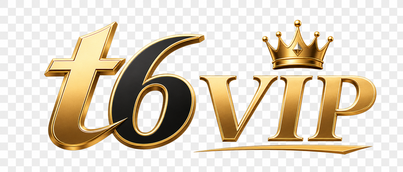 T6 VIP